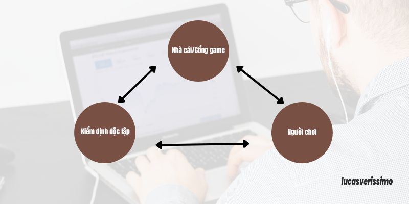 Ranh giới vai trò phải rõ ràng